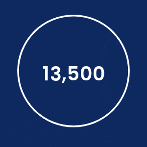 WIBF_13500_Animation